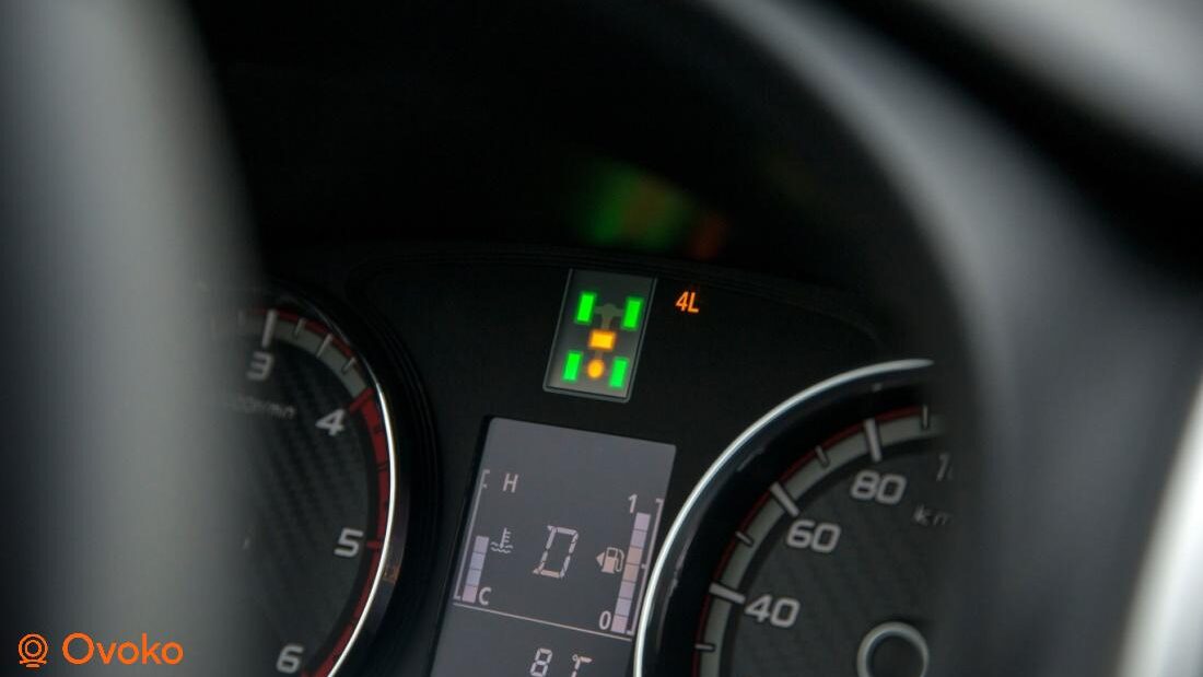 fiat fullback probleme